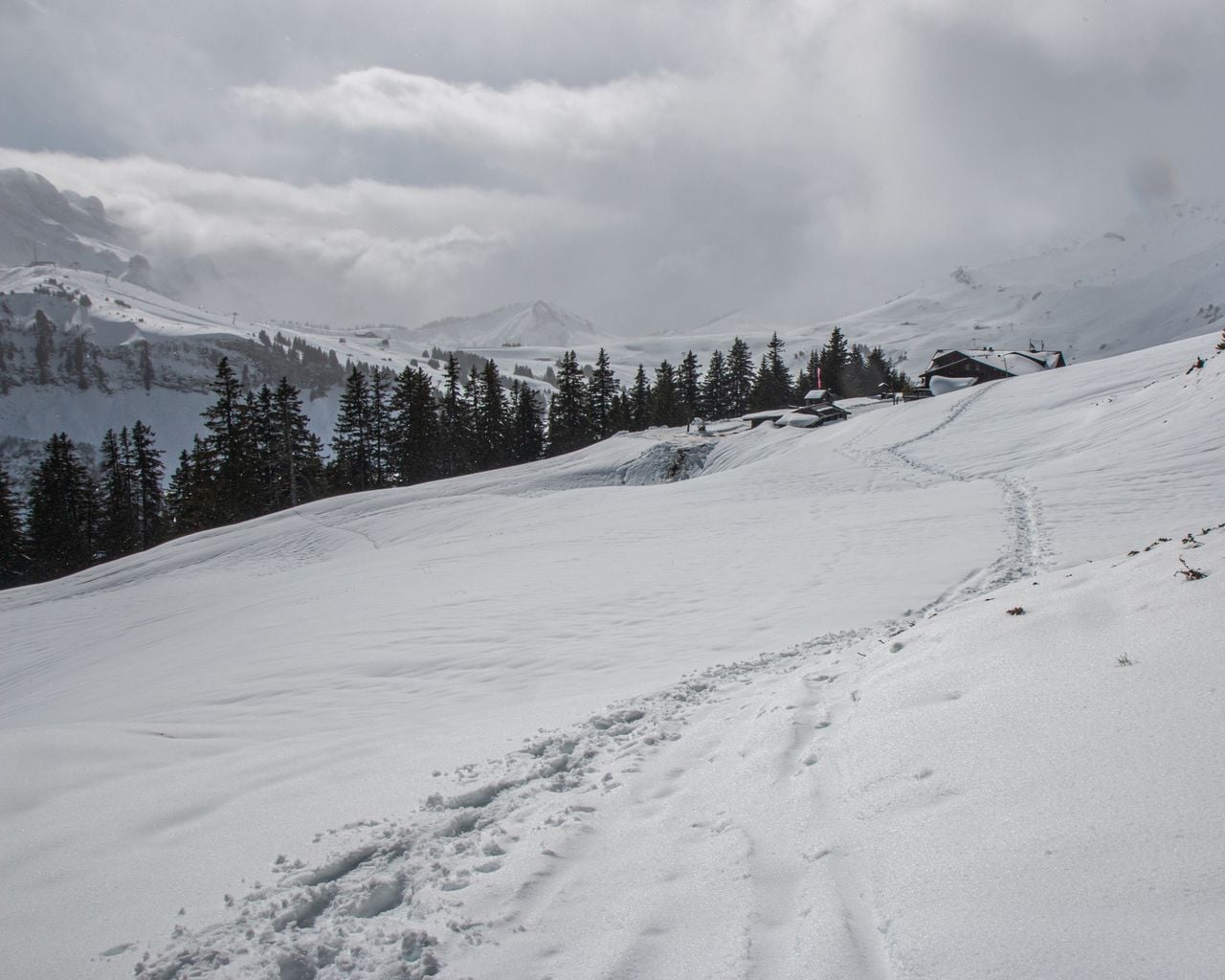 Chemin de l'Aiguille