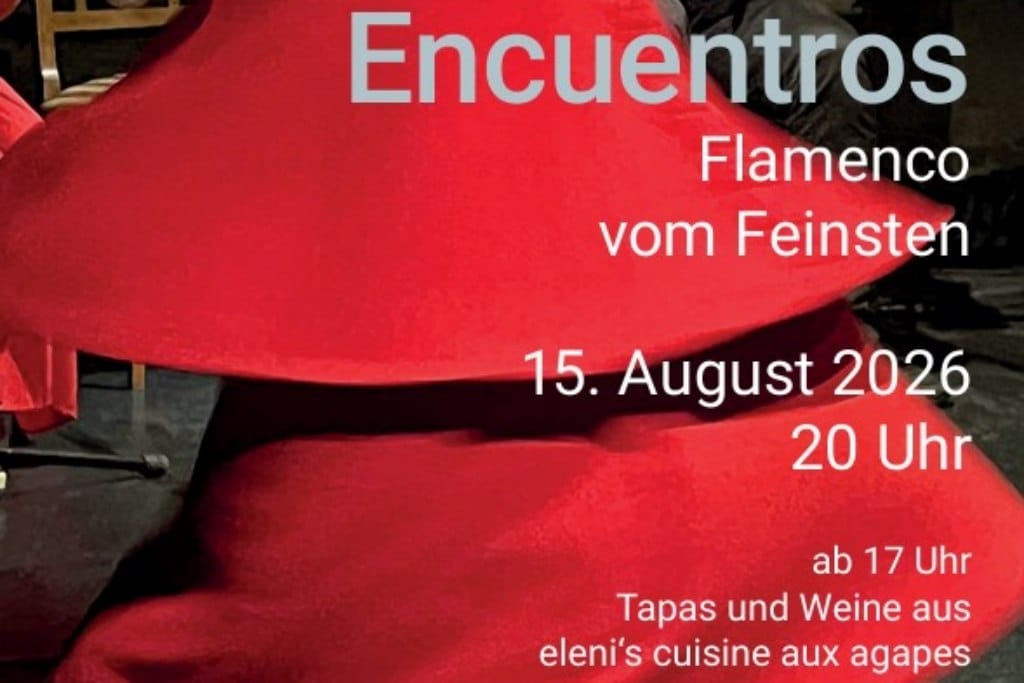 ENCUENTROS -Flamenco at its finest
