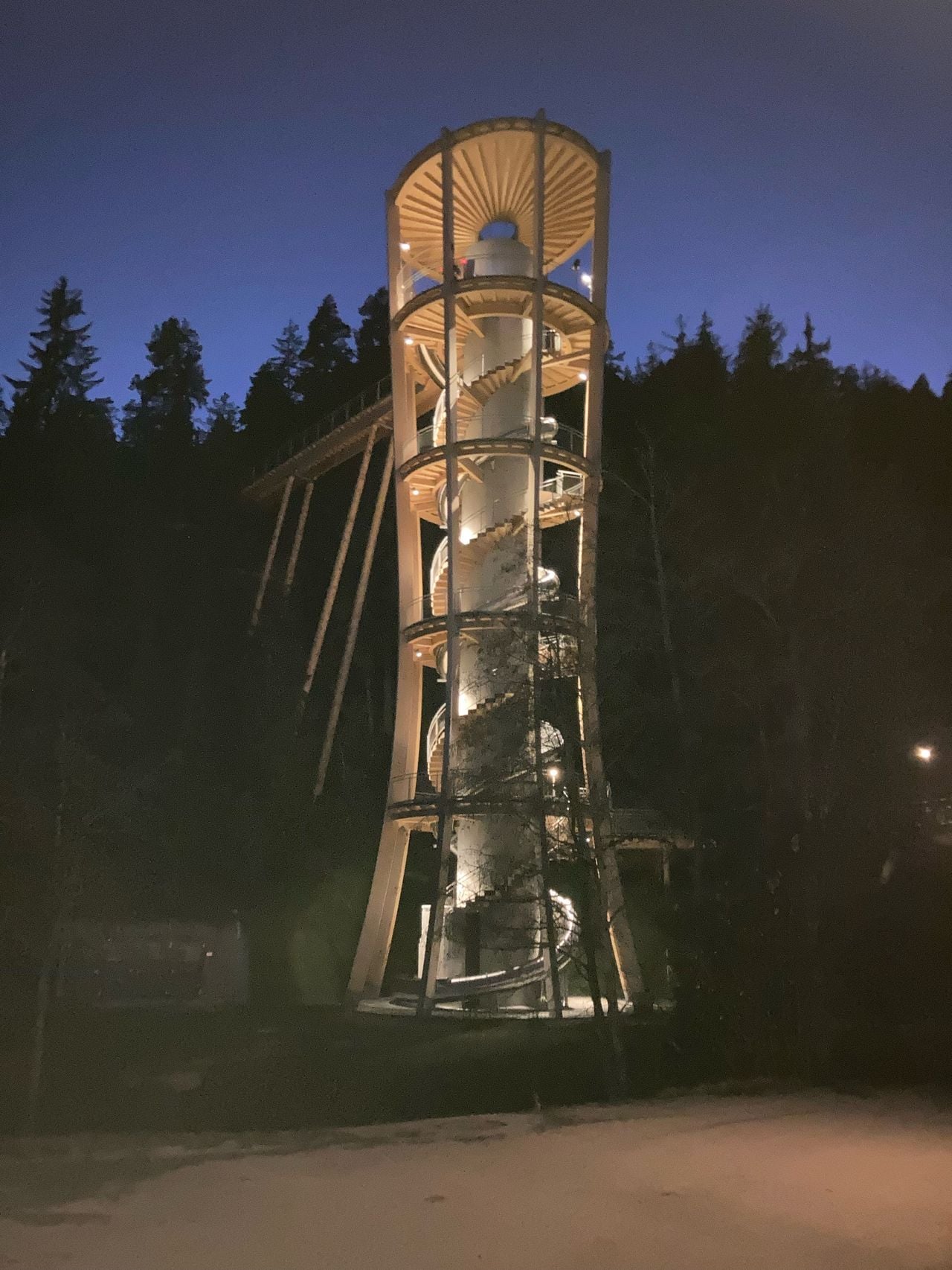 Geological hike on the world’s longest treetop walk