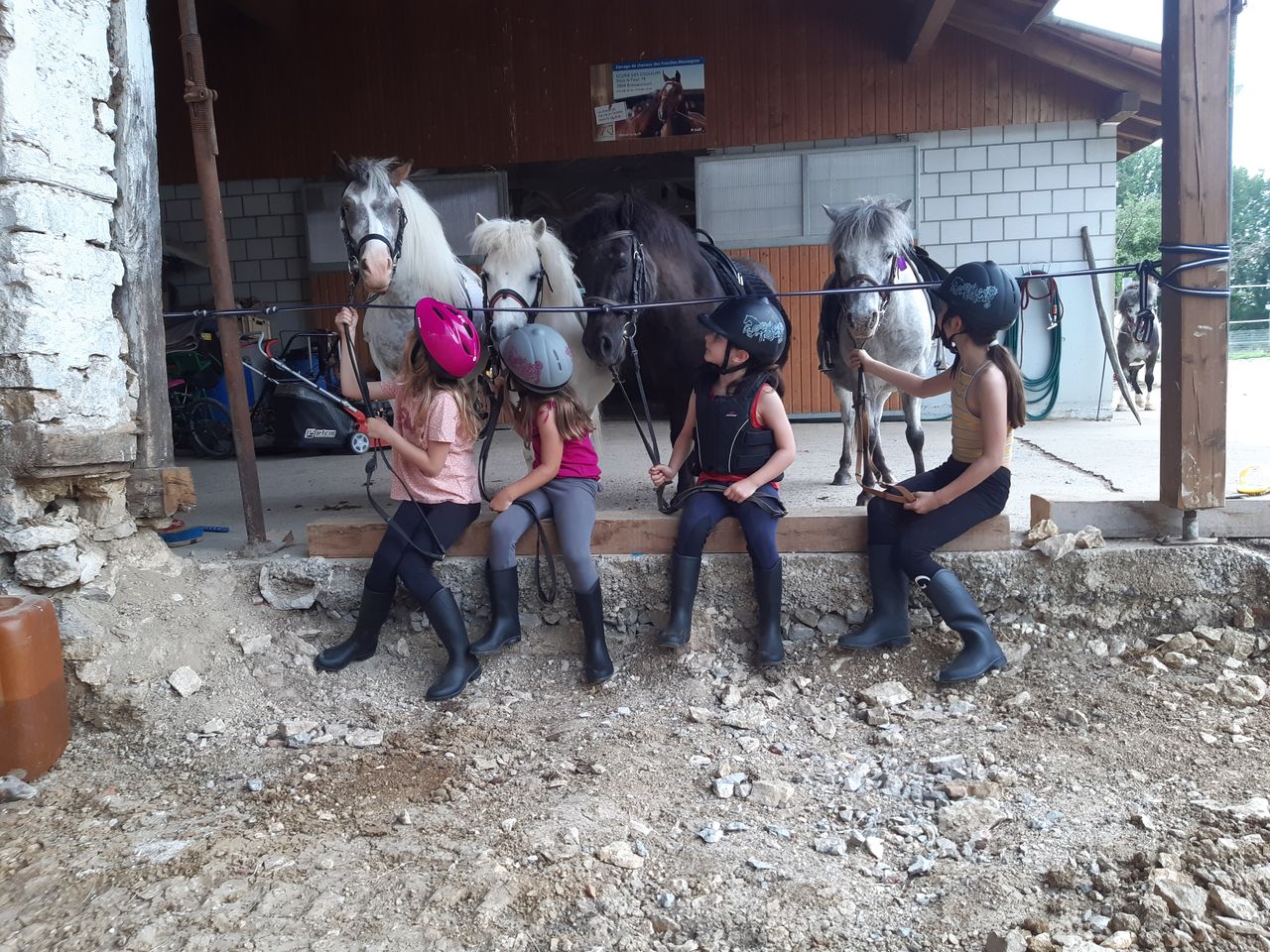 Poney - Introductory courses