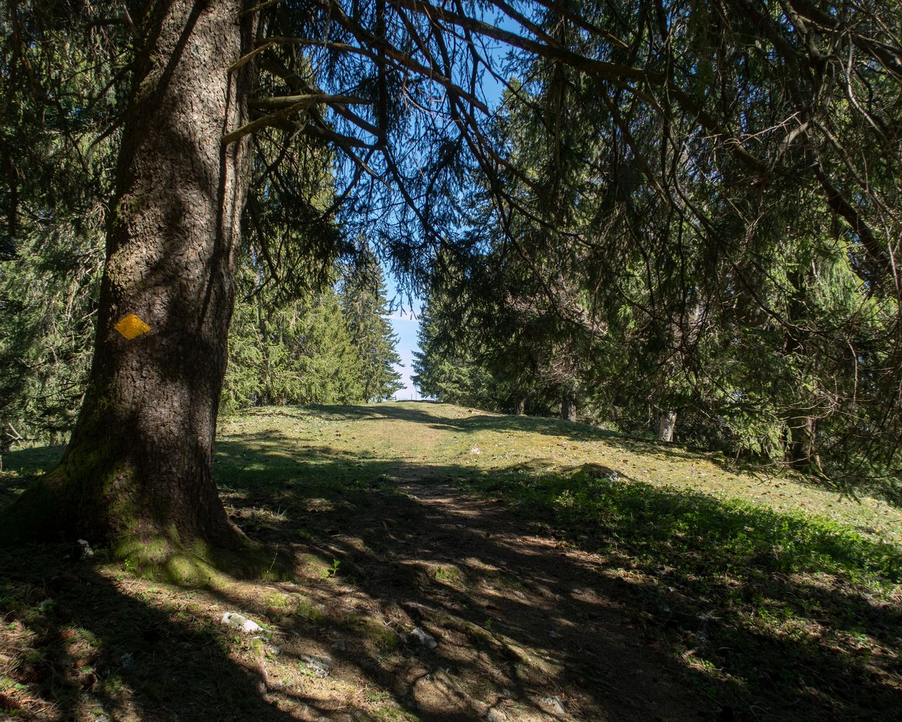 Chemin du Jura bernois, Tappa 2/4