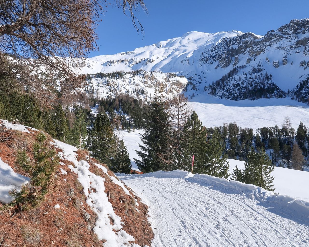 Senda Alp da Munt–Alp Champatsch