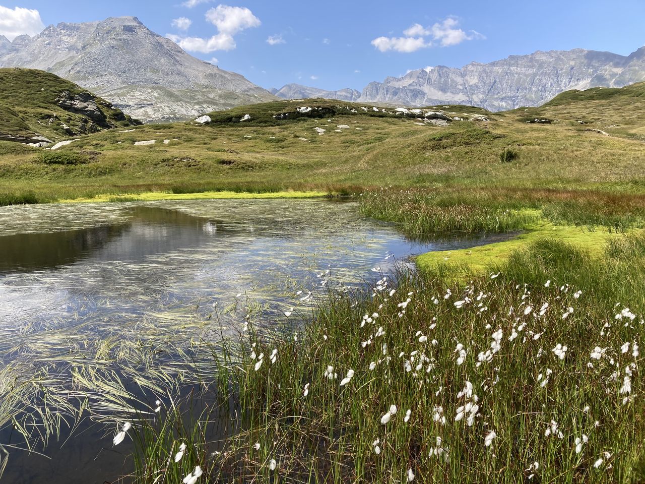 Spedizione: torbiera – alla scoperta di un mondo vivente