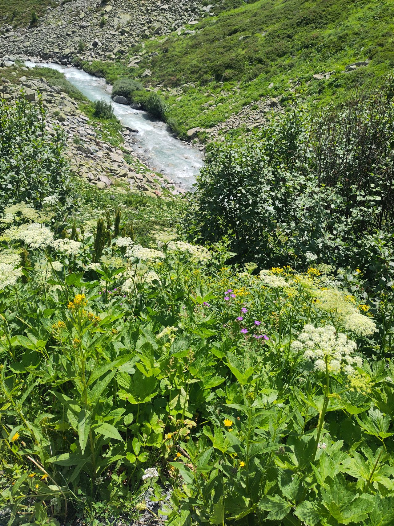 Via Valtellina Alpine Crossing
