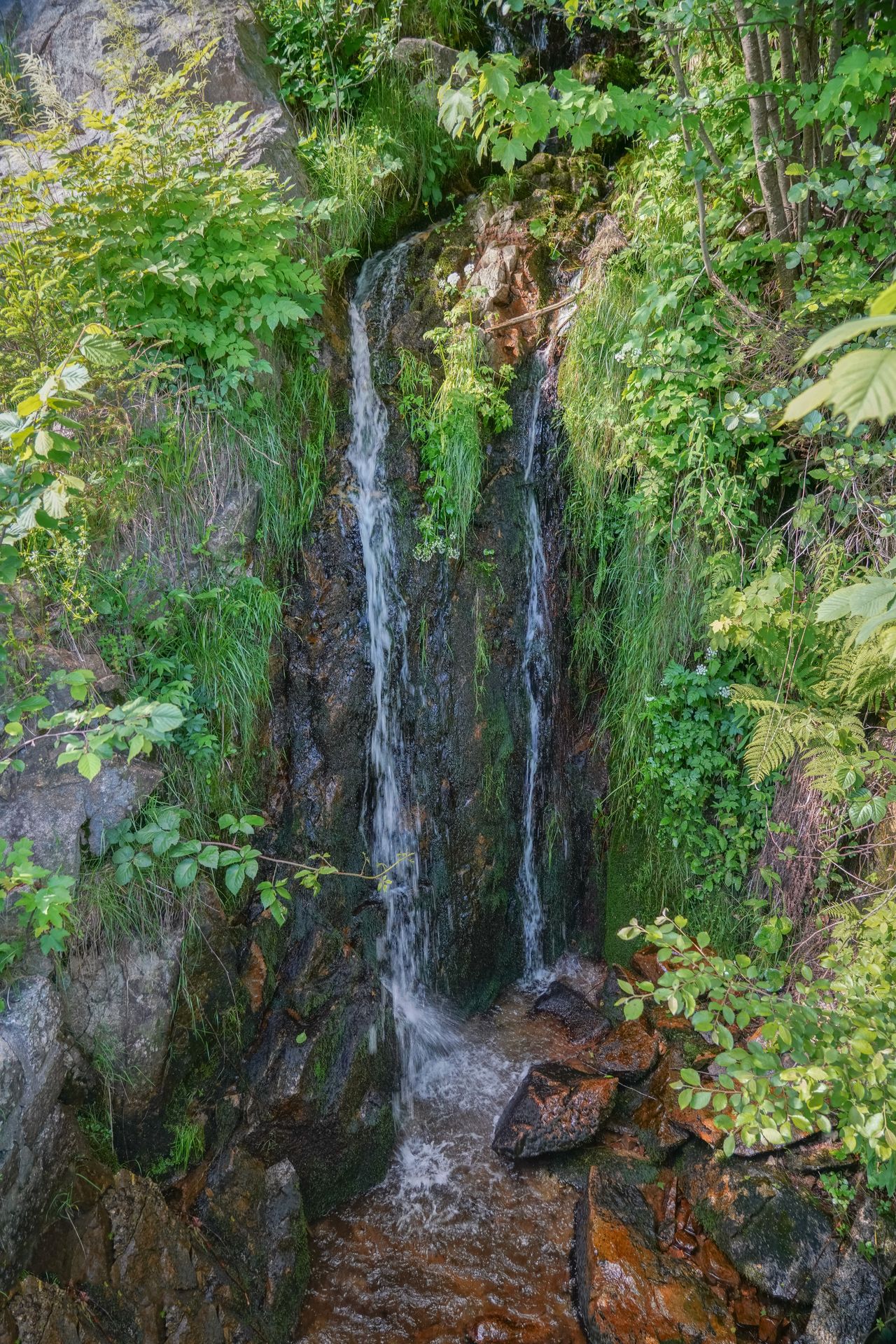Schönenbach-Wasserfall