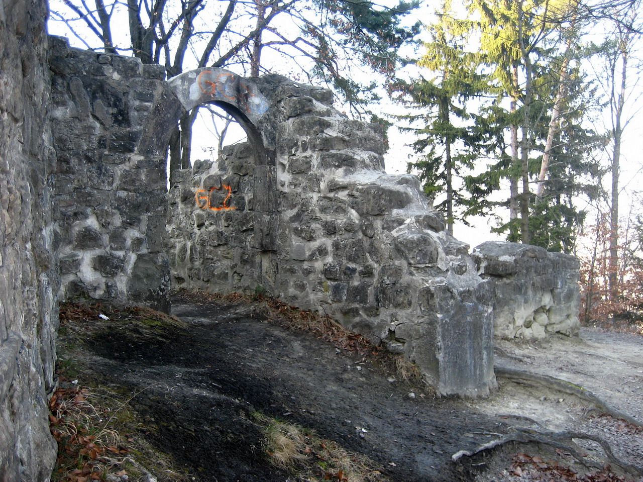 Ruines du château de Friesenberg