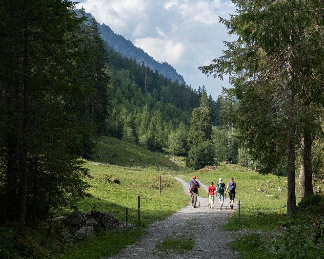 Bergweg Kraftort Grimmiwasser