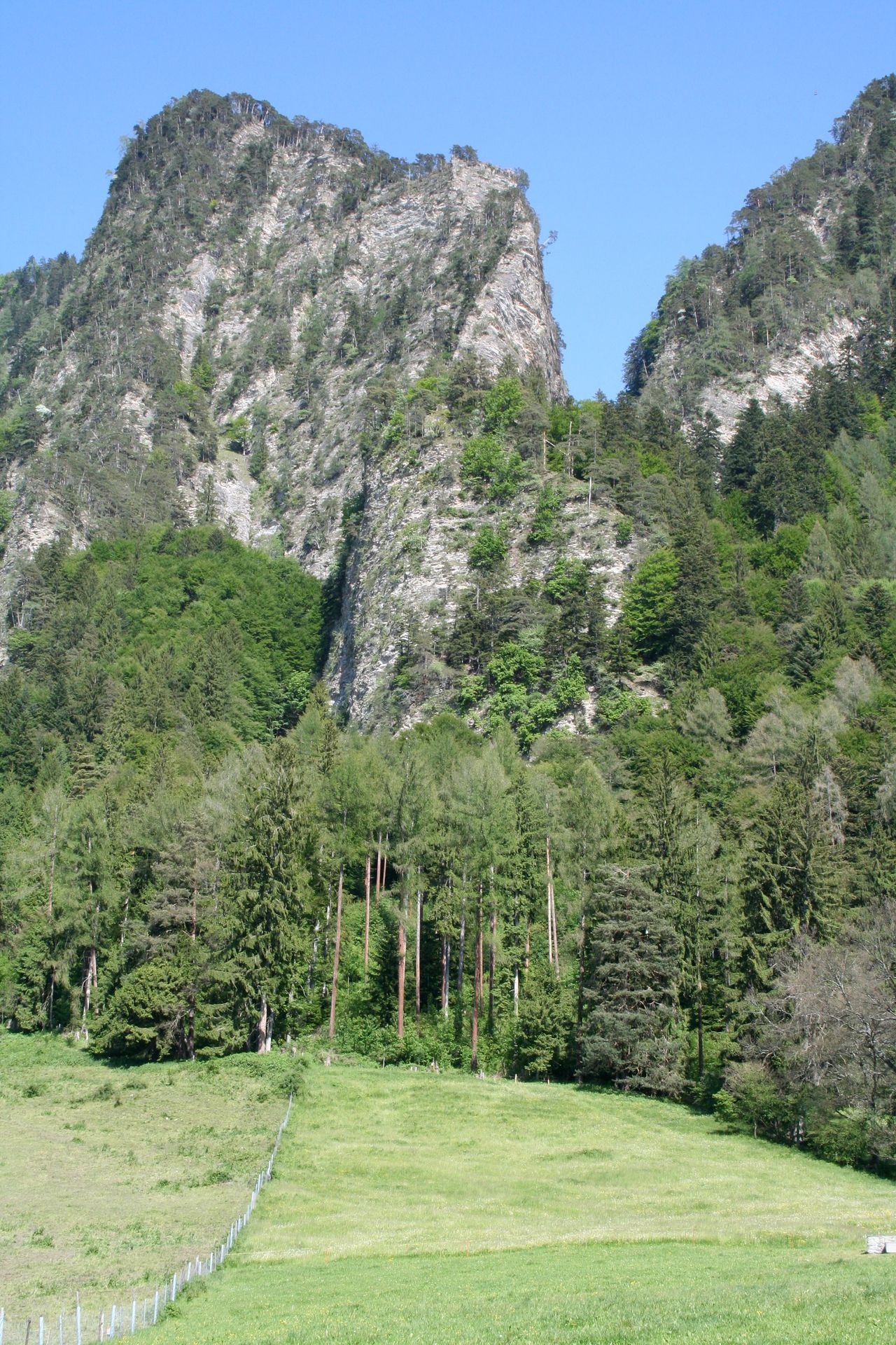 Ruine Falkenstein