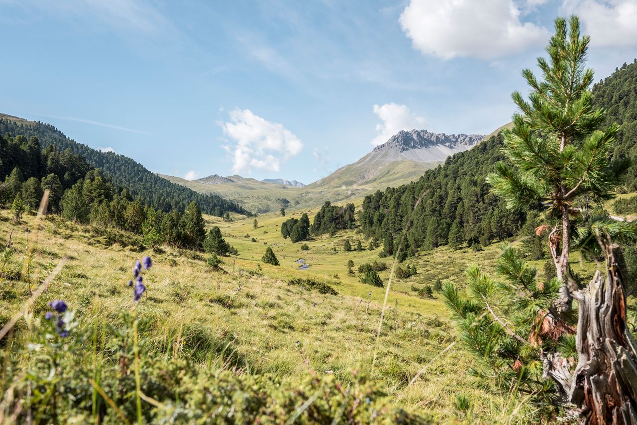 Jakobsweg Graubünden, Stage 2/19