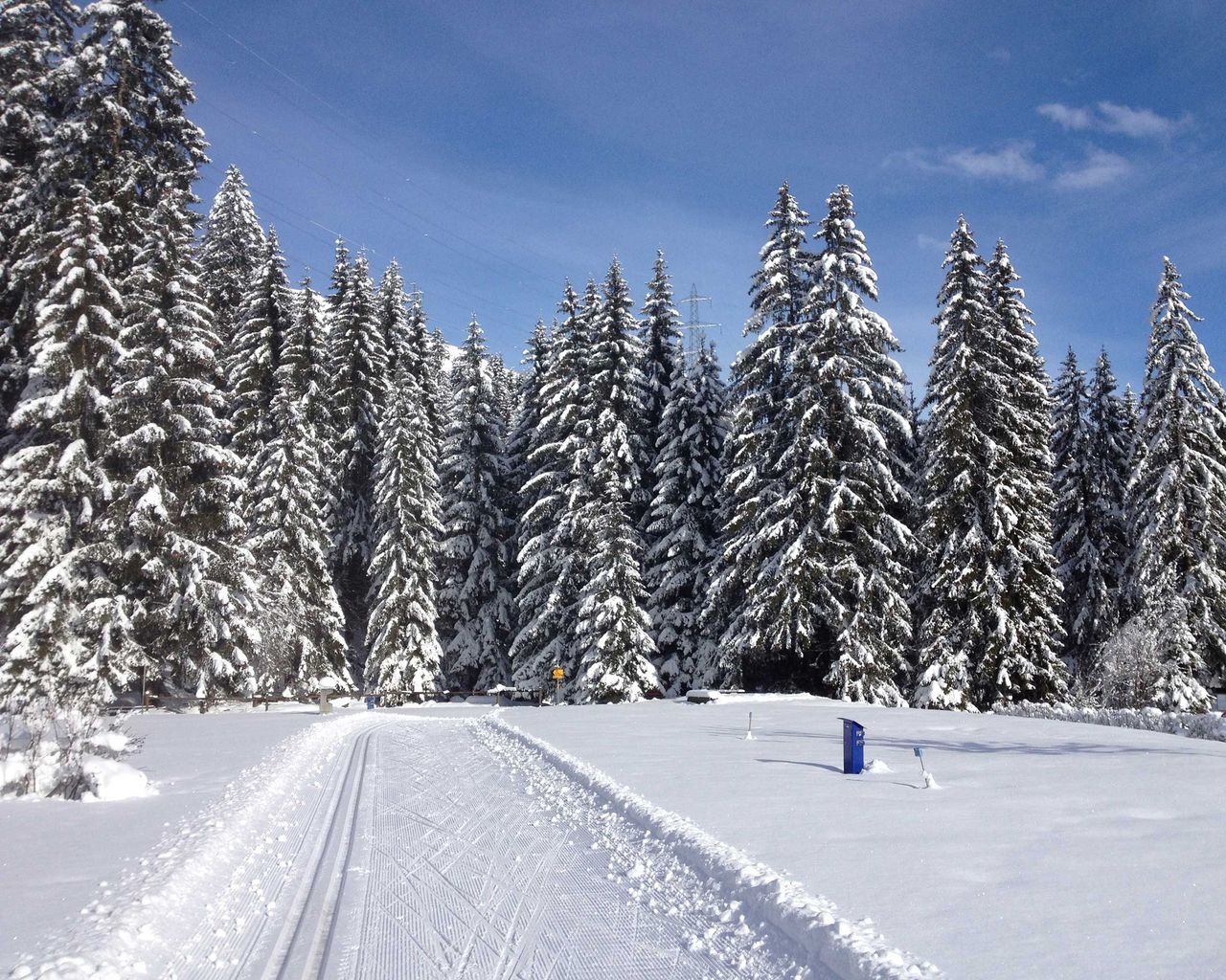 Nordic Surselva
