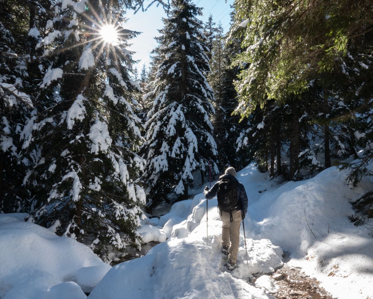Cavaglia Trail