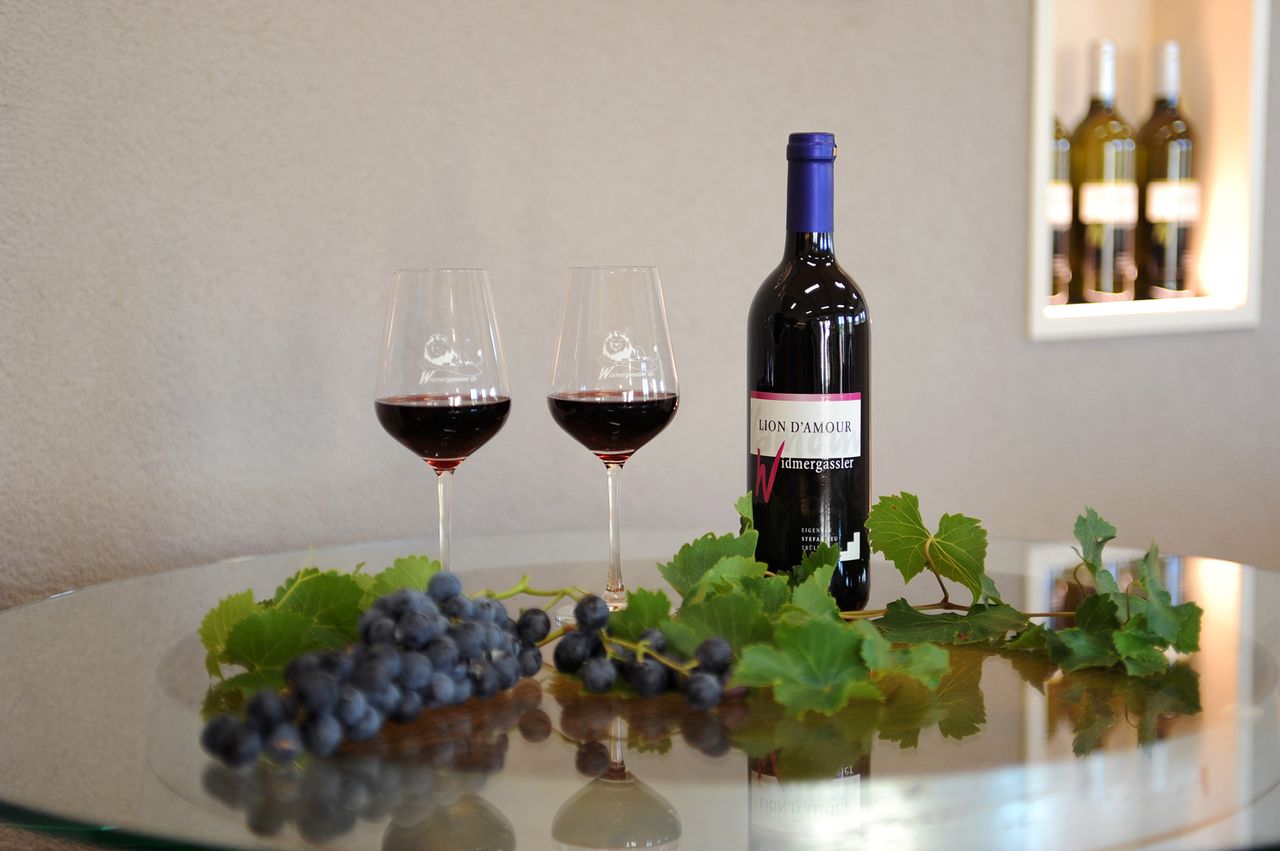 Dégustation de vins avec buvette