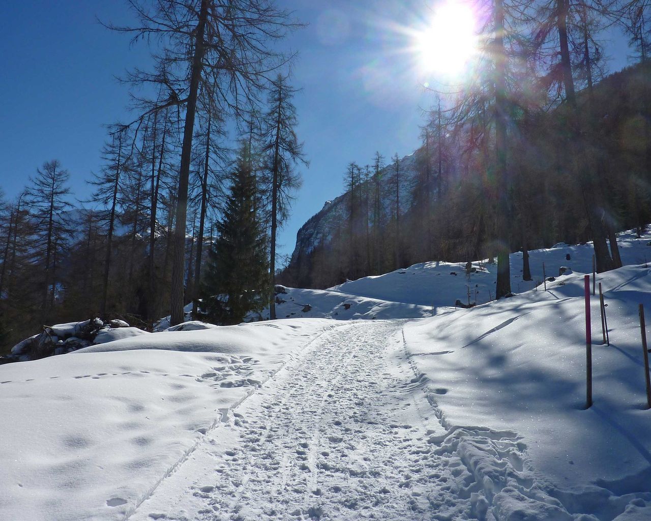 Bergünerstein-Schneeschuhtrail