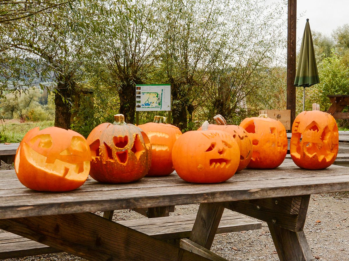 Autumn days with pumpkin carving