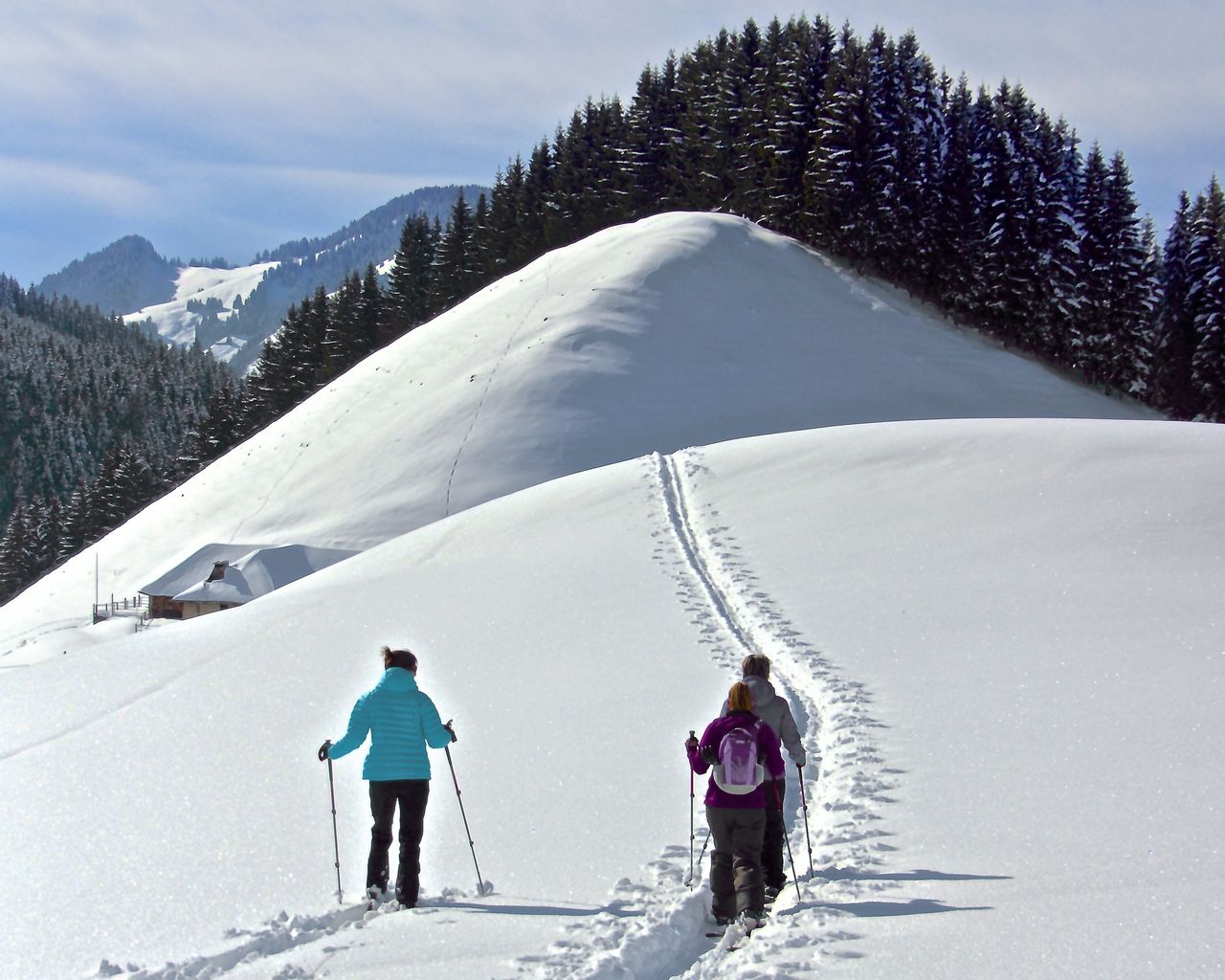 Parcours du Sommet de Vounetse