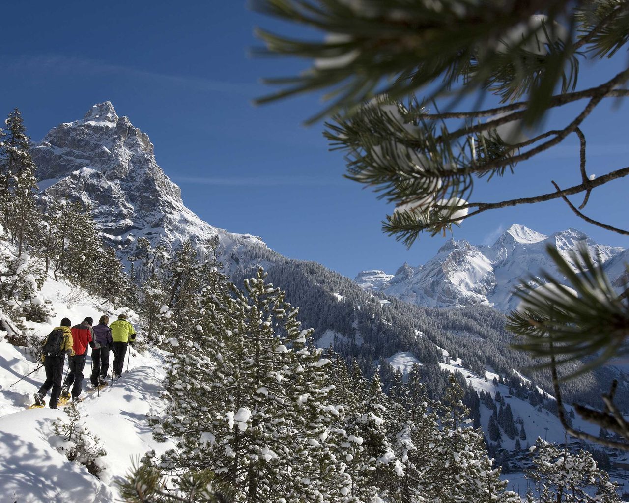 Höh Trail