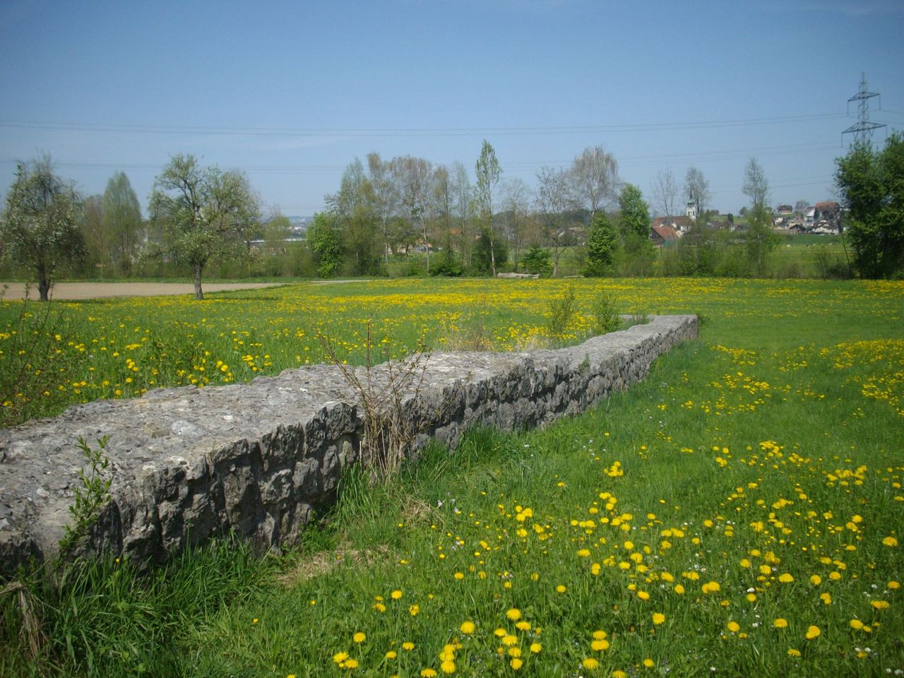 Alt-Eschenbach Castle Ruins