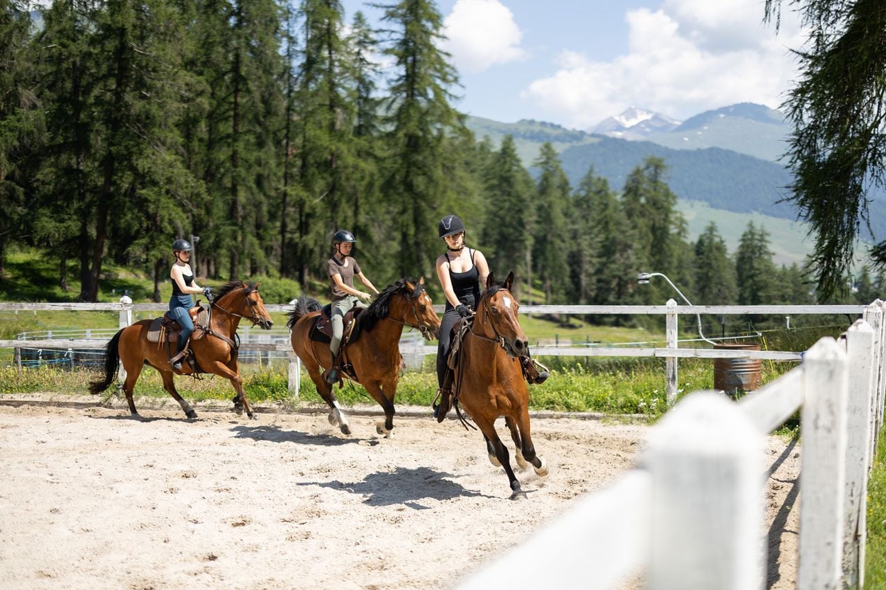 Riding lessons for advanced riders