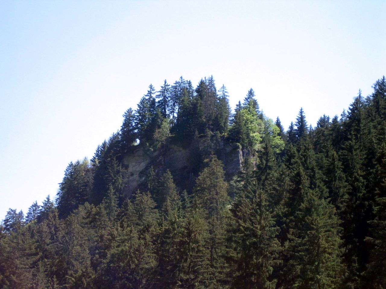 Heidenberg Castle Ruins