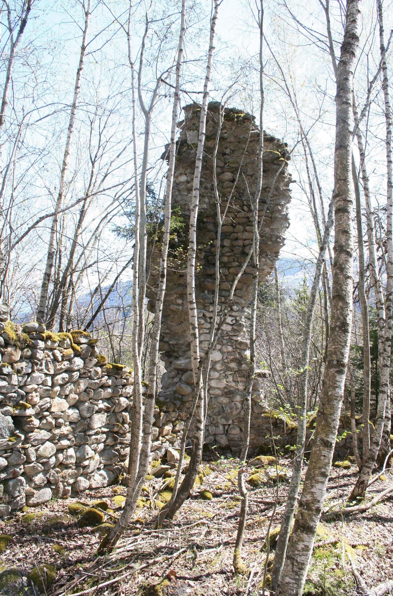 Ruins of Grünenfels Castle