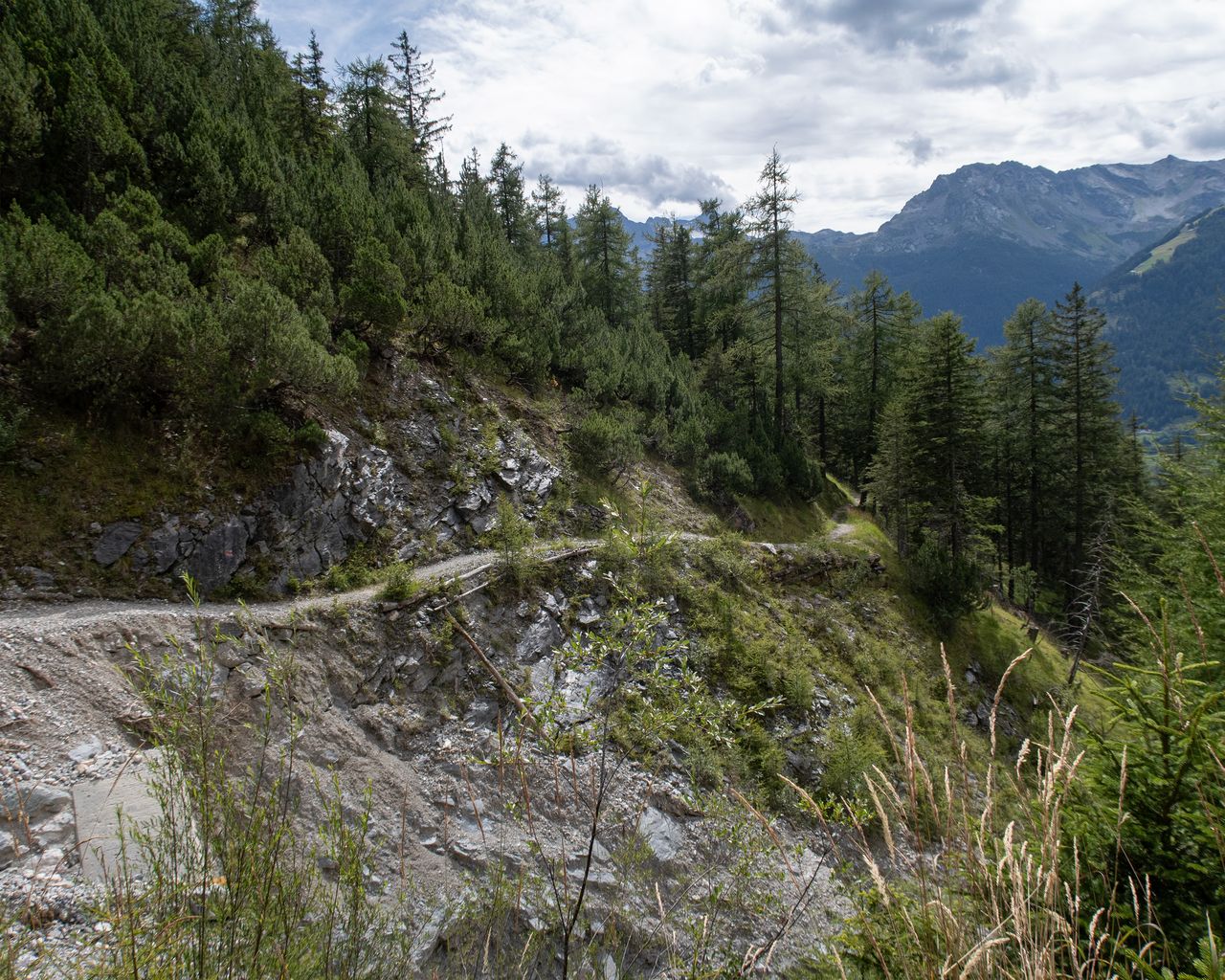Val di Campo