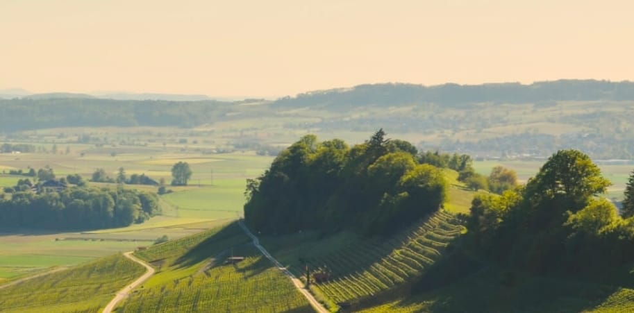 Weintavolata: Lindenhof Winery AG