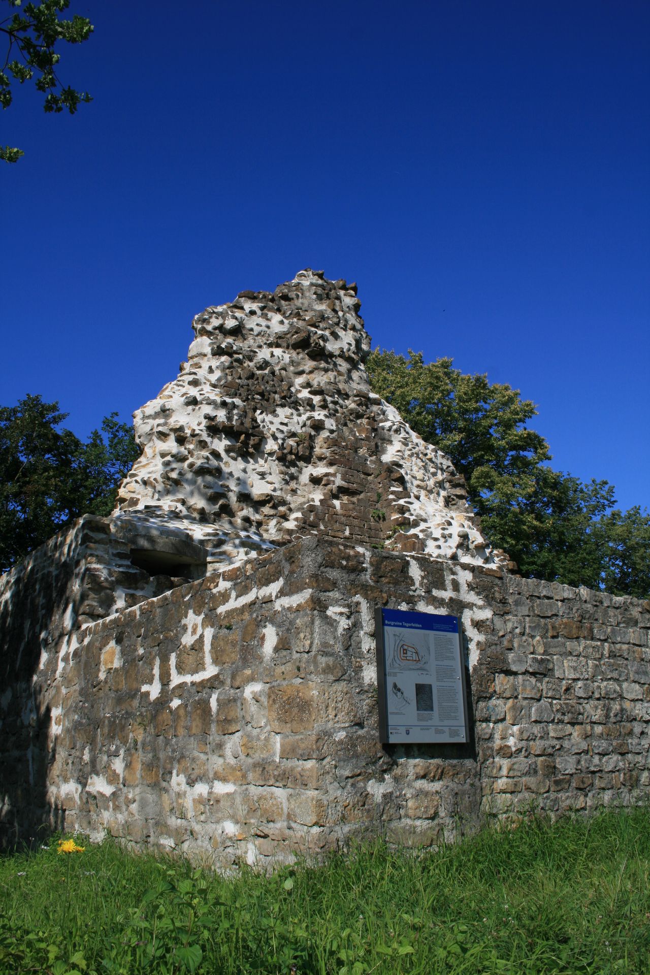 Tegerfelden Ruins