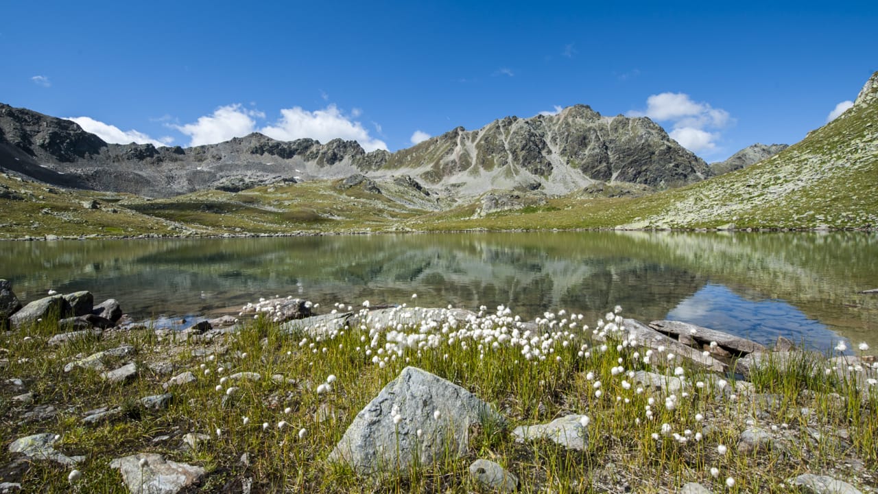 Geführte Wanderung Macun Seen