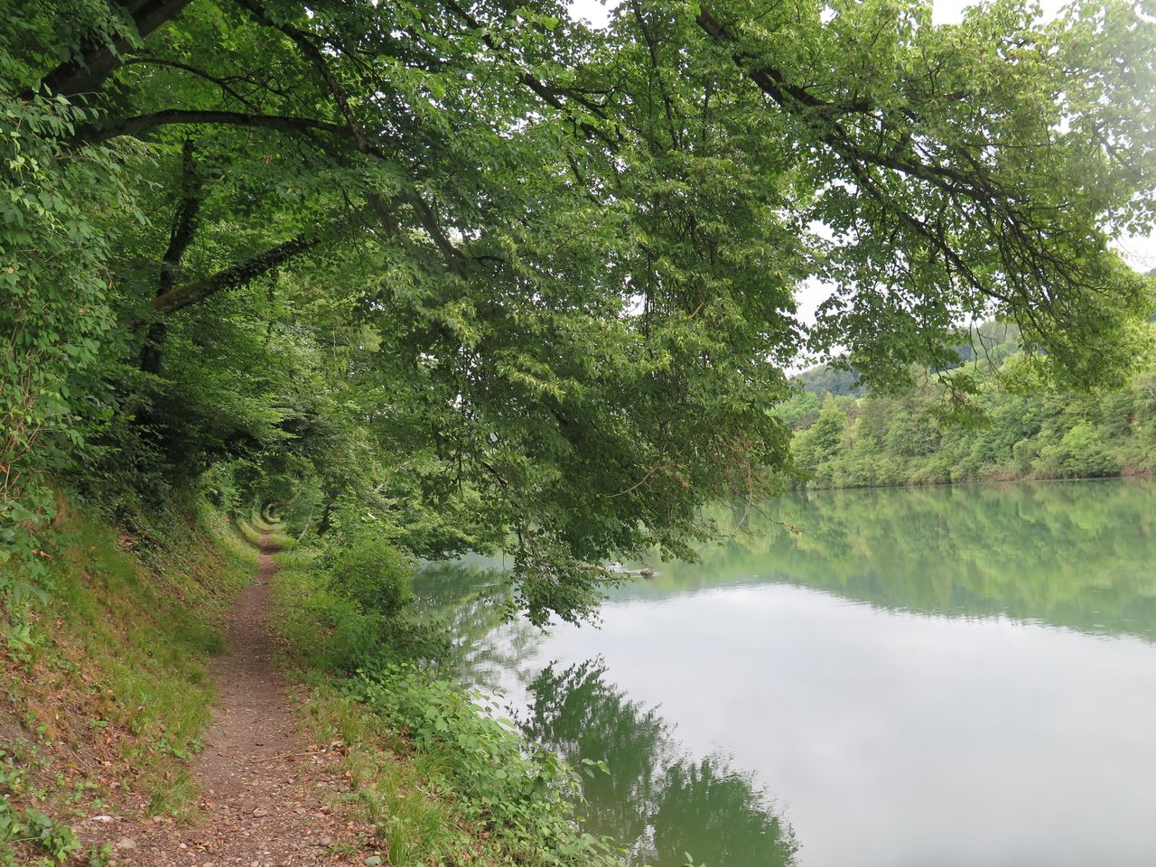 Wanderung dem Rhein entlang von Bad Zurzach nach Kaiserstuhl (AG)