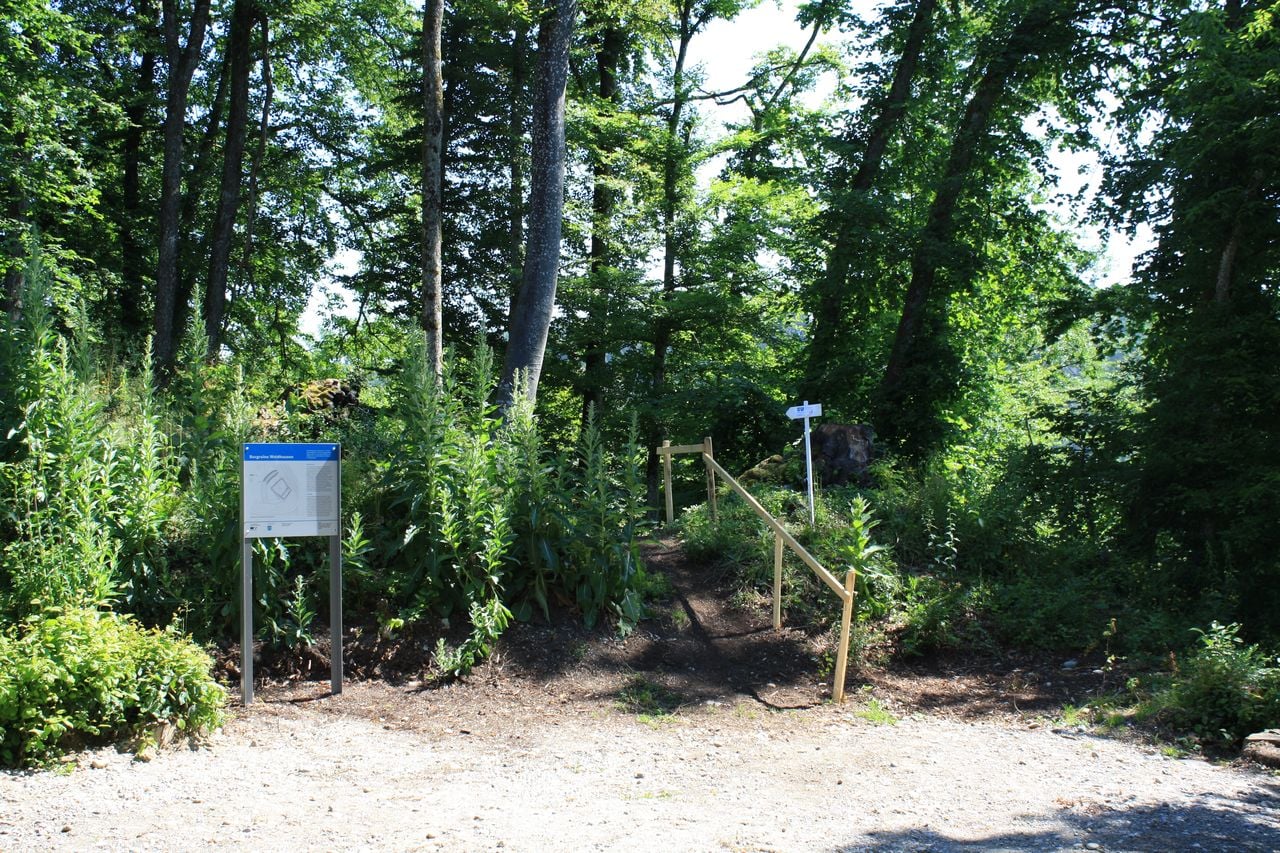 Ruine Waldhausen