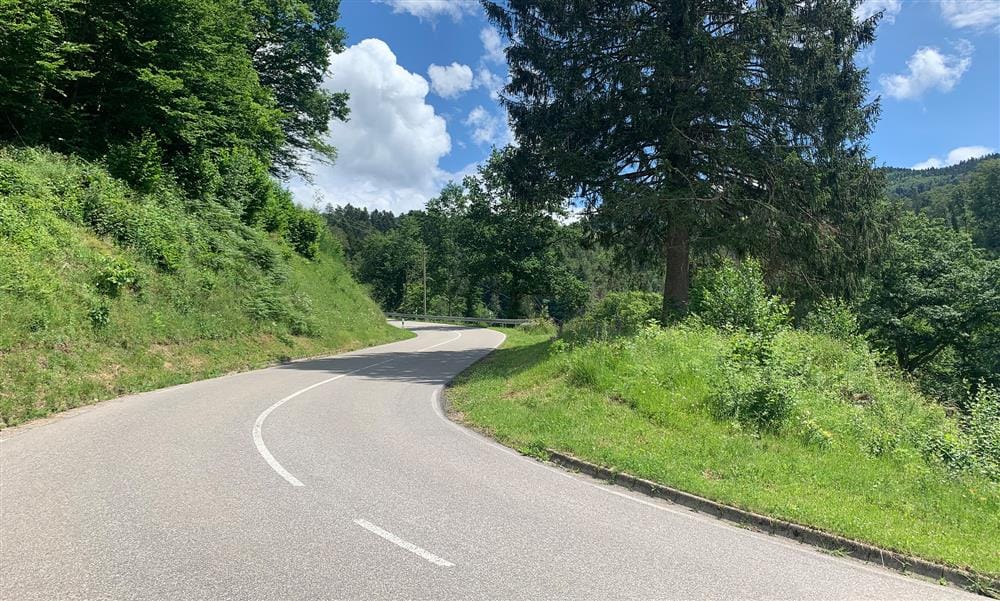 Tagestour Schwarzwald (D)