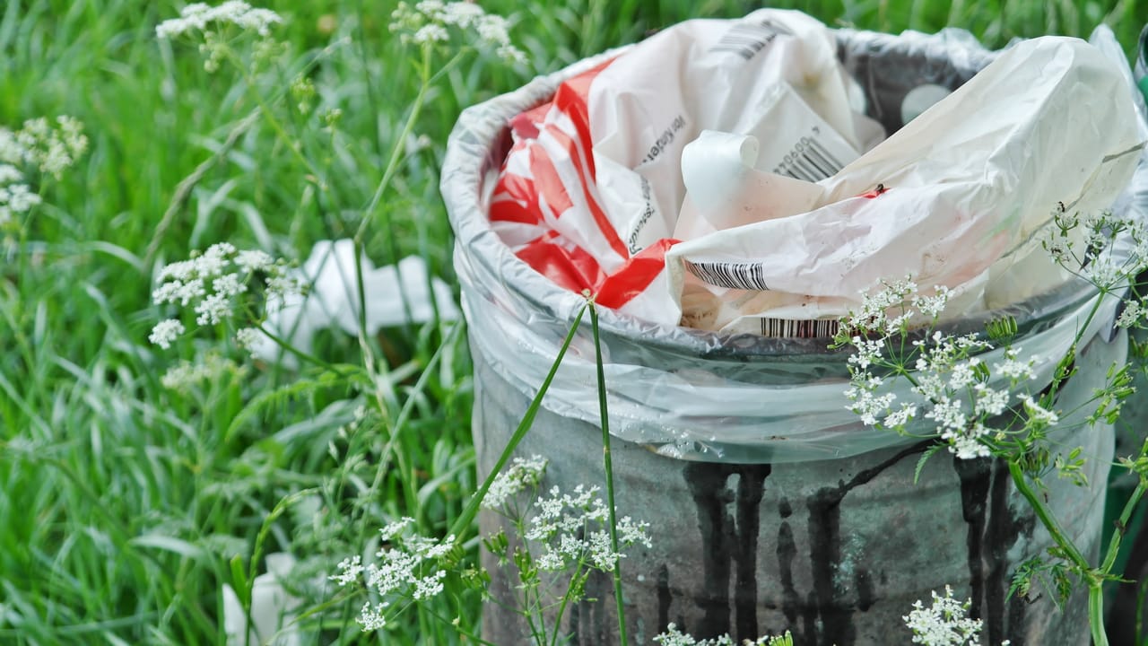 Nationaler Clean Up Day 2026