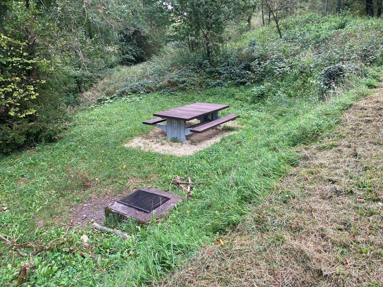 Grillstelle am Bächli