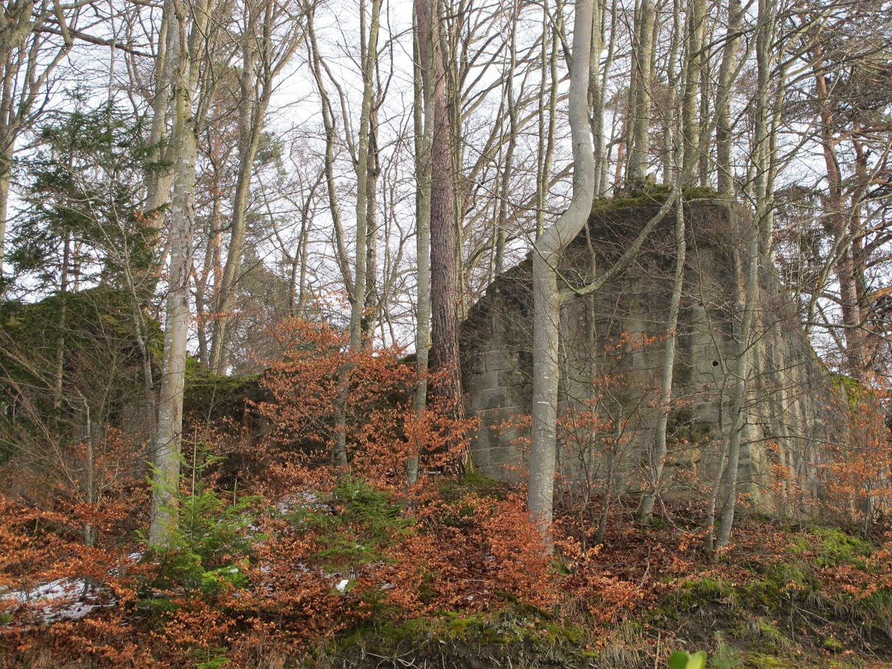 Neu-Bubenberg Castle Ruins