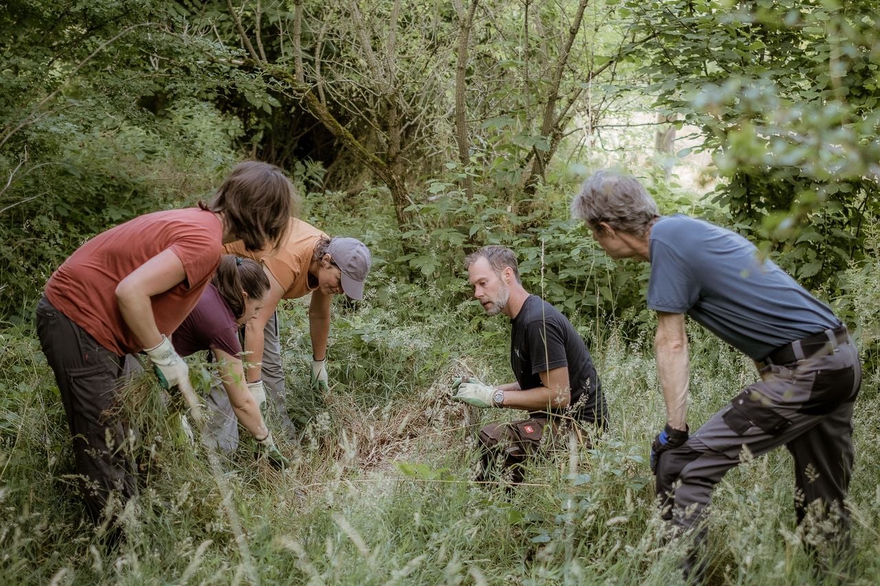 Zäme fürs Naturparadies – inclusive maintenance work at Bannholz