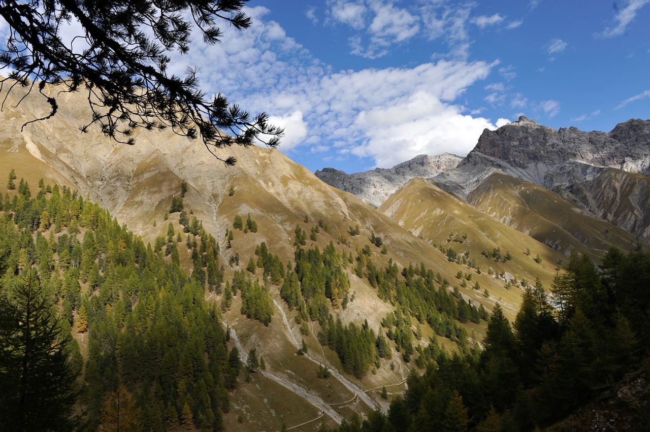 Guided walk Val Trupchun