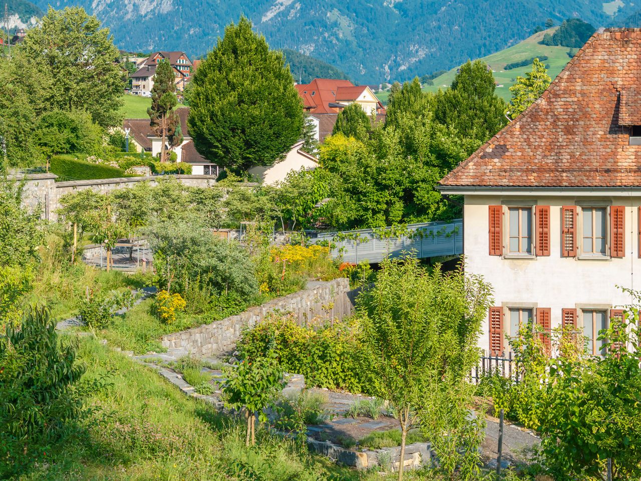 Public guided tour: Edible Landscape