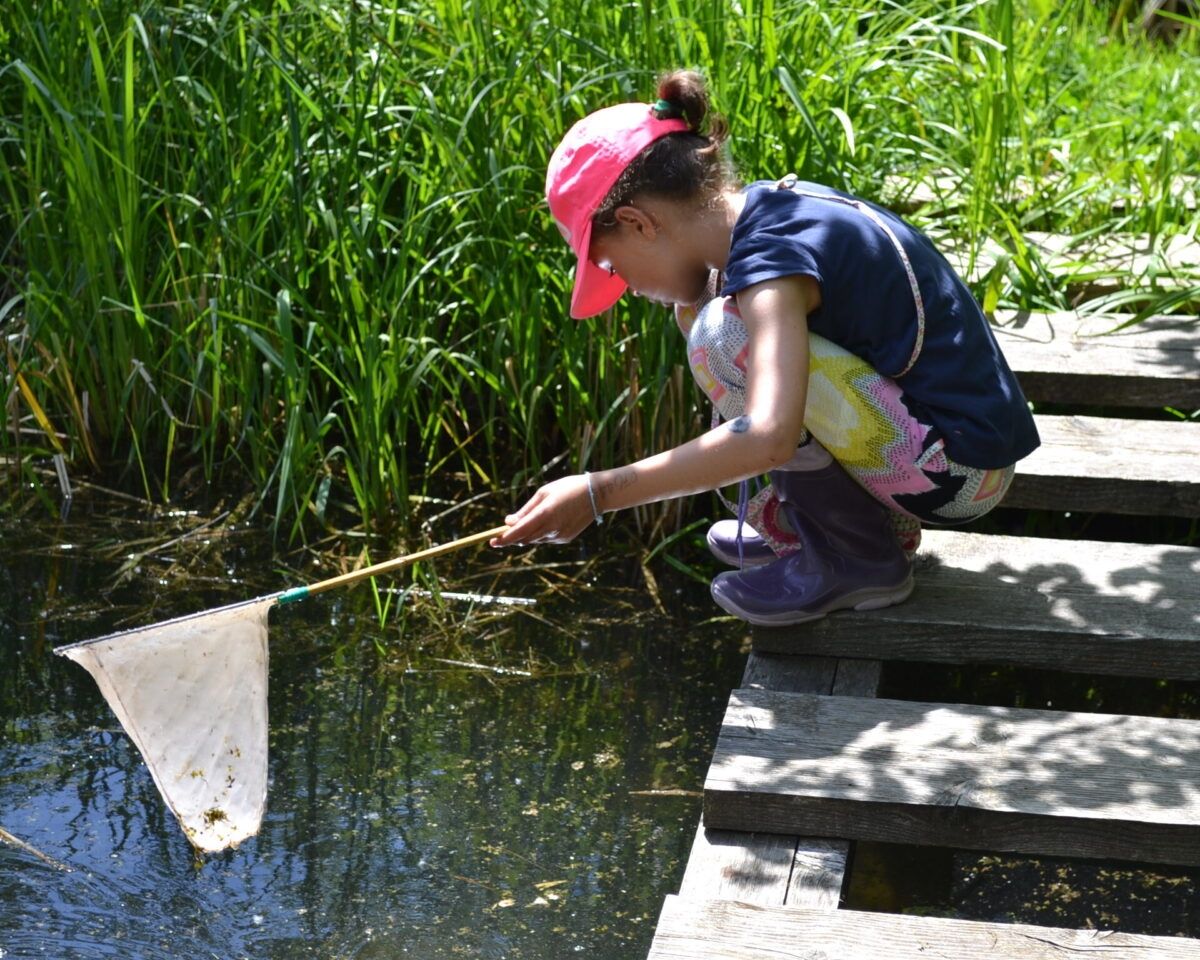 Nature laboratory by the pond