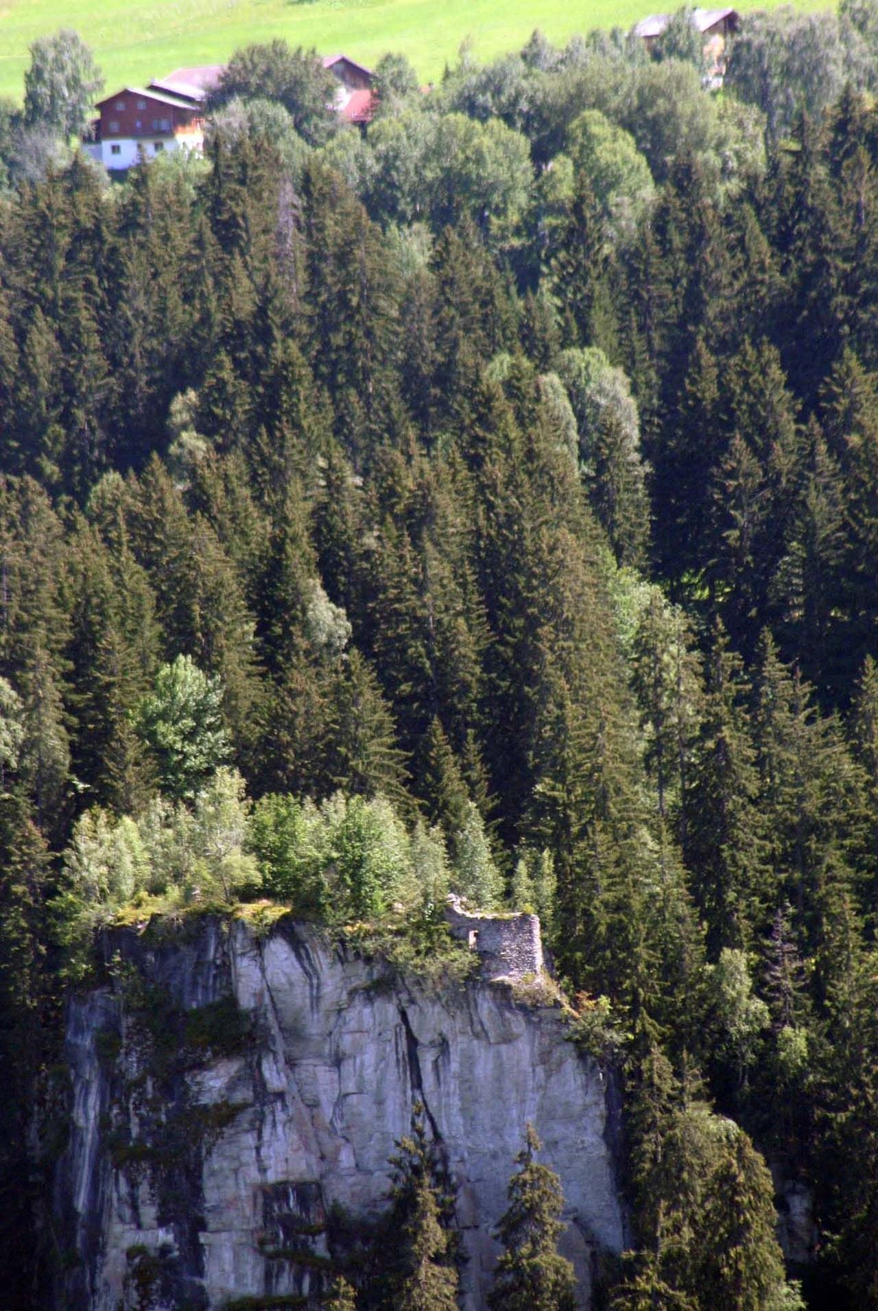 Burg Schwarzenstein