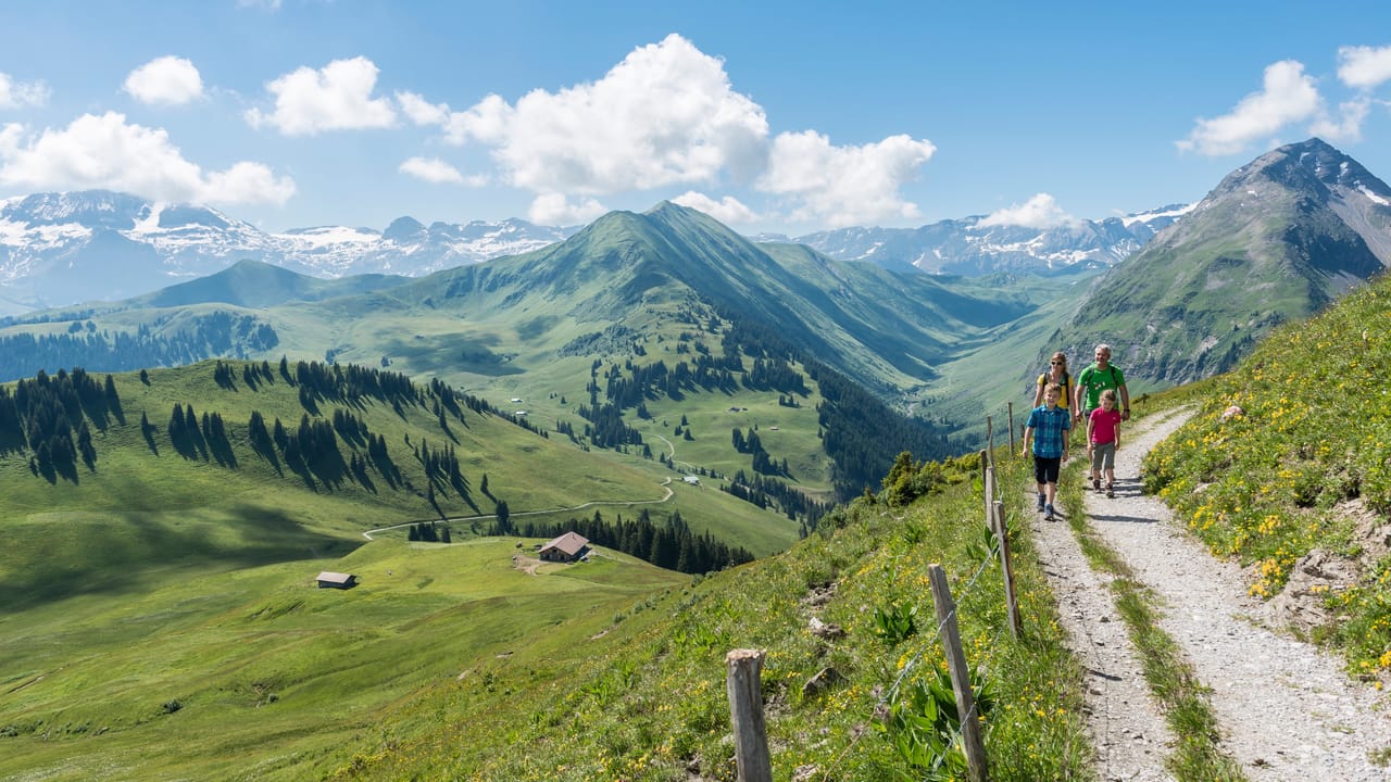 Horneggli-Panoramaweg