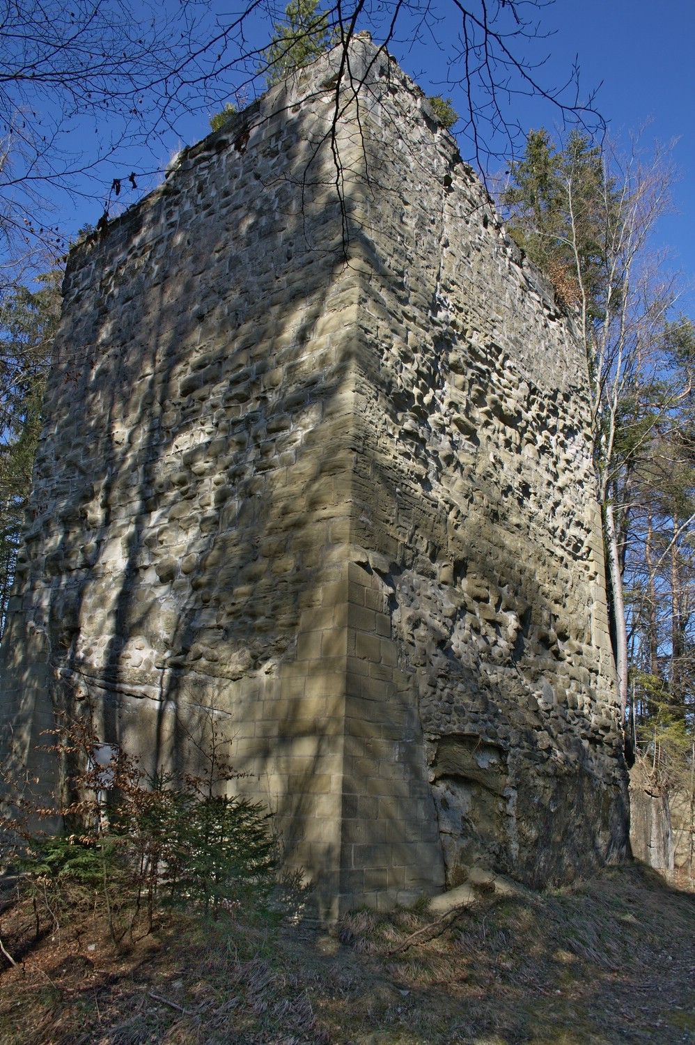 Burg Obermaggenberg