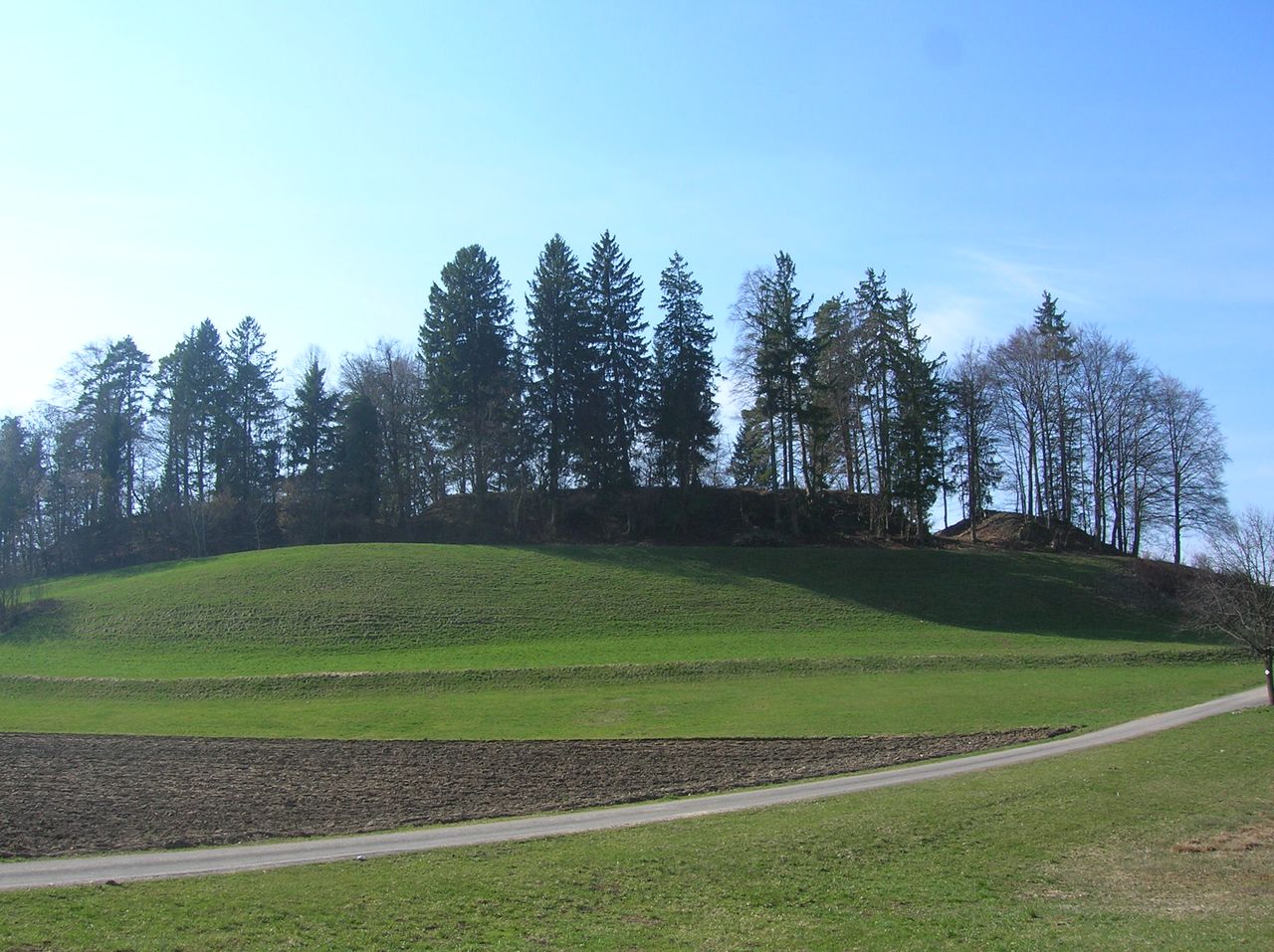 Burgstelle Werdegg