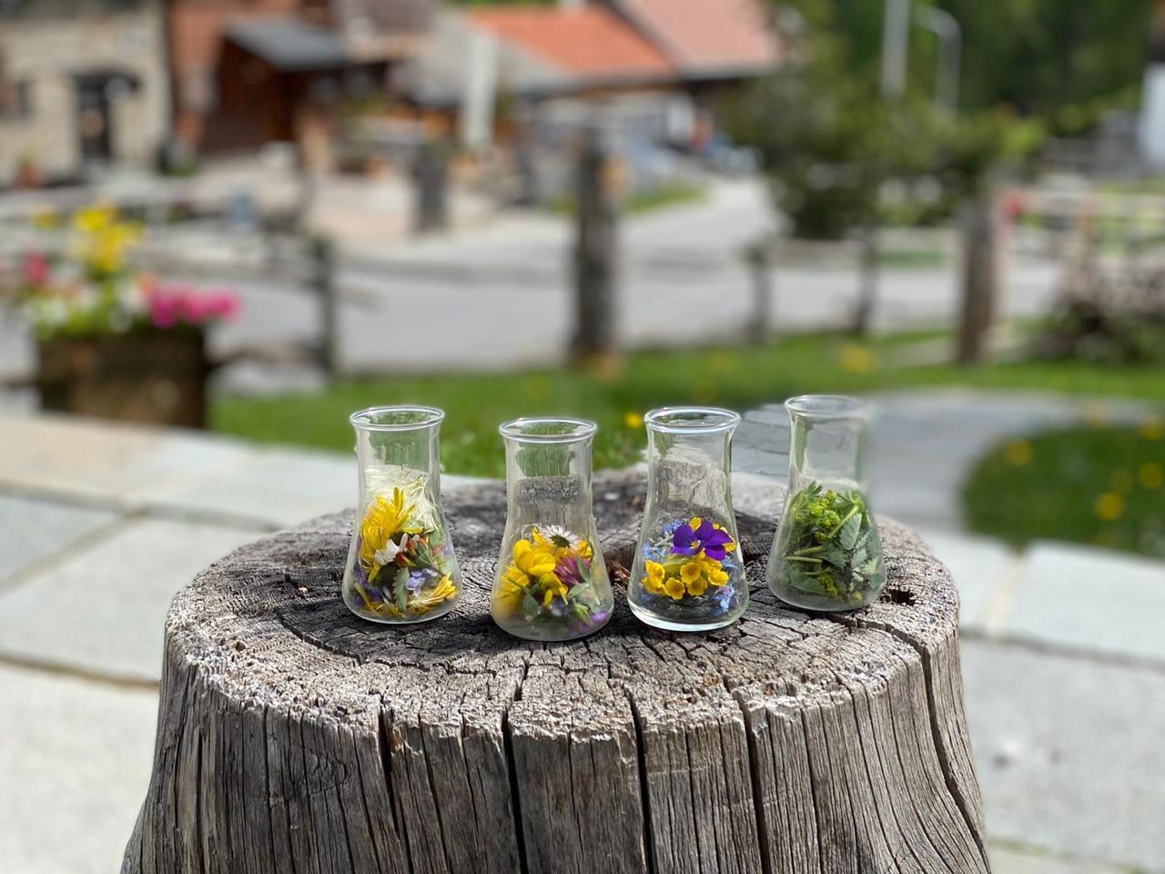 Pesto aus essbaren Wildkräutern herstellen (Bivio)