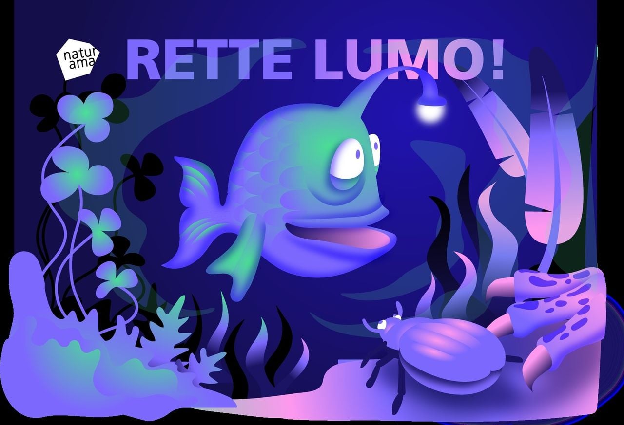 Augmented reality adventure «Rette Lumo!»