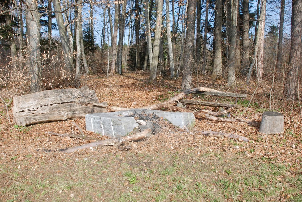 Grillplatz Guetbuck