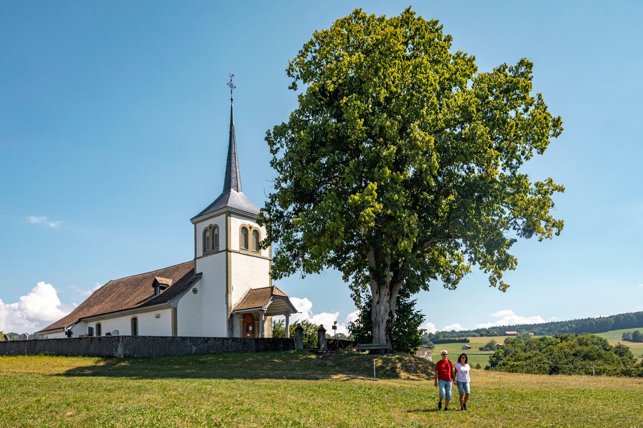 Romont Stained Glass Trail