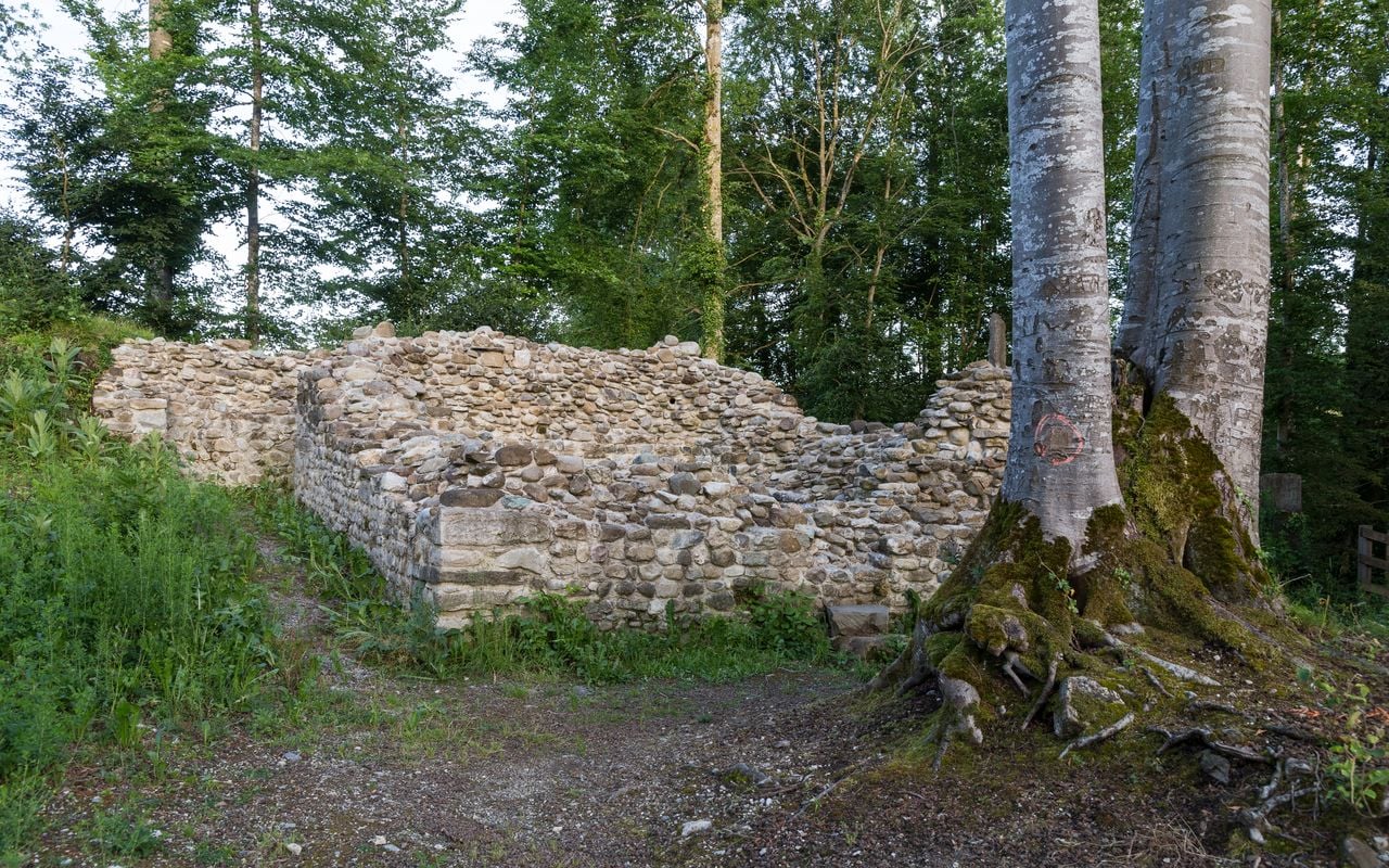 Altenburg