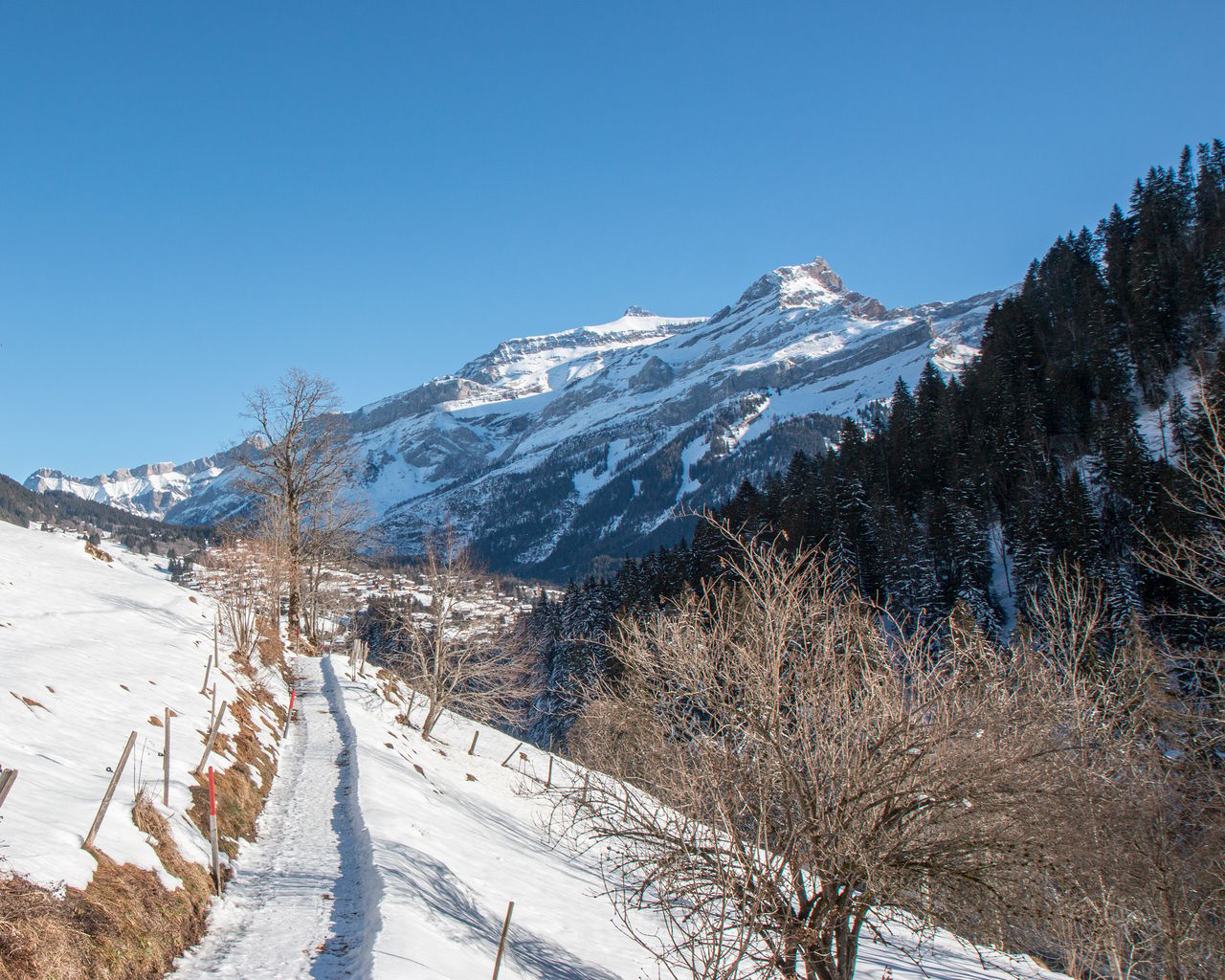 Chemin Les Diablerets–Vers l’Eglise