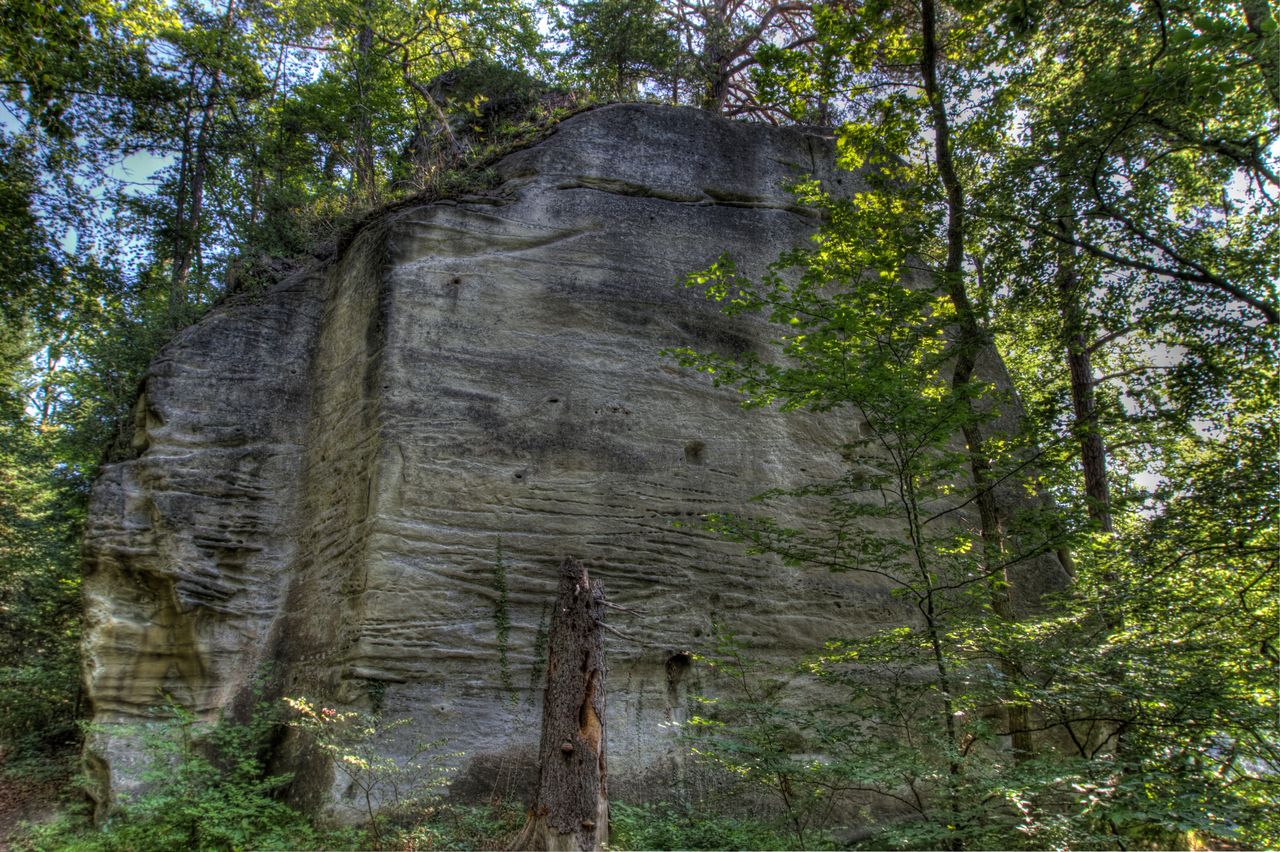 Ruine du château d'Arconciel
