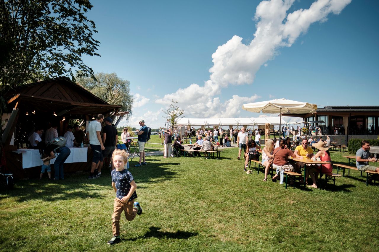 Fall Festival